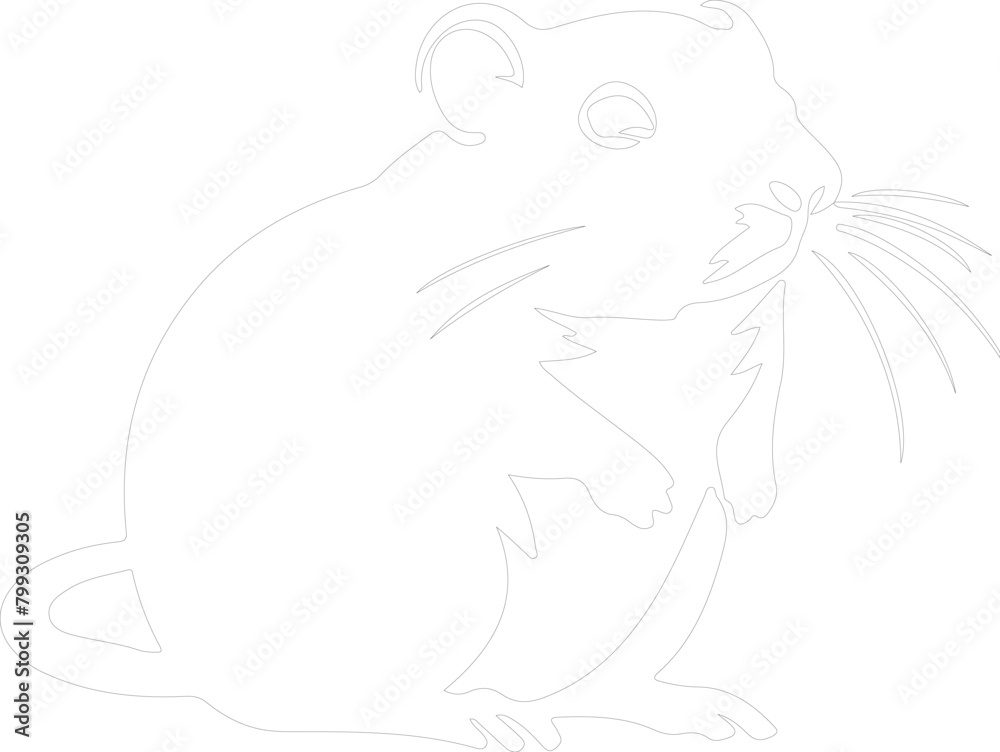 Obraz premium gerbil outline
