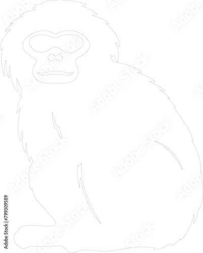 gibbon outline
