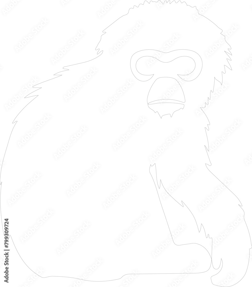 gibbon outline gibbon outline
