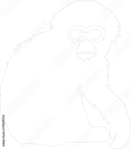 gibbon outline