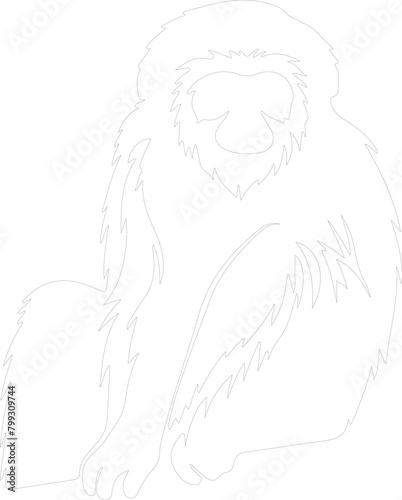 gibbon outline