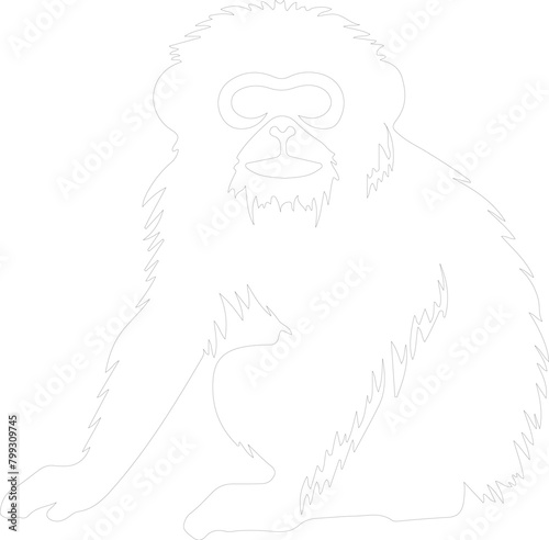 gibbon outline