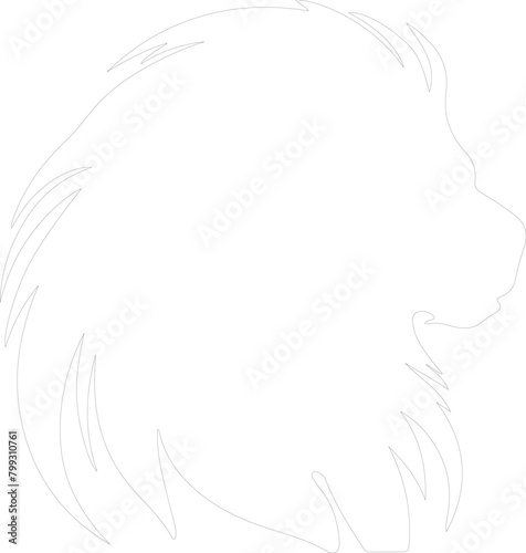 golden lion tamarin outline © Mappingz