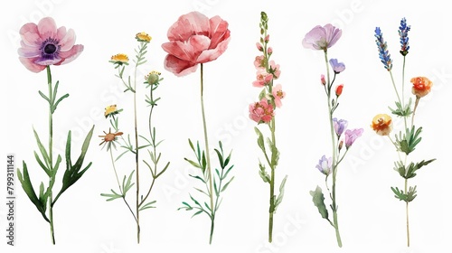 Watercolor Floral Decorations on White Background Generative AI