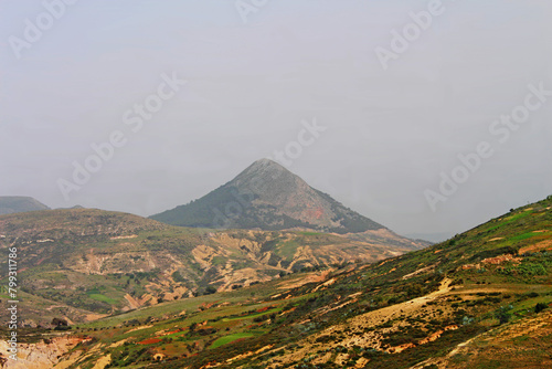Algérie, région de Msirda dans l'ouest algérien