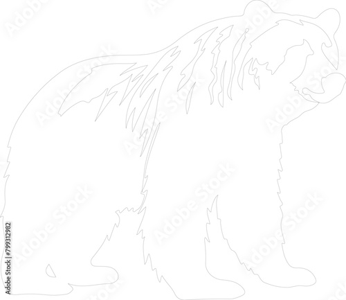 grizzly bear outline