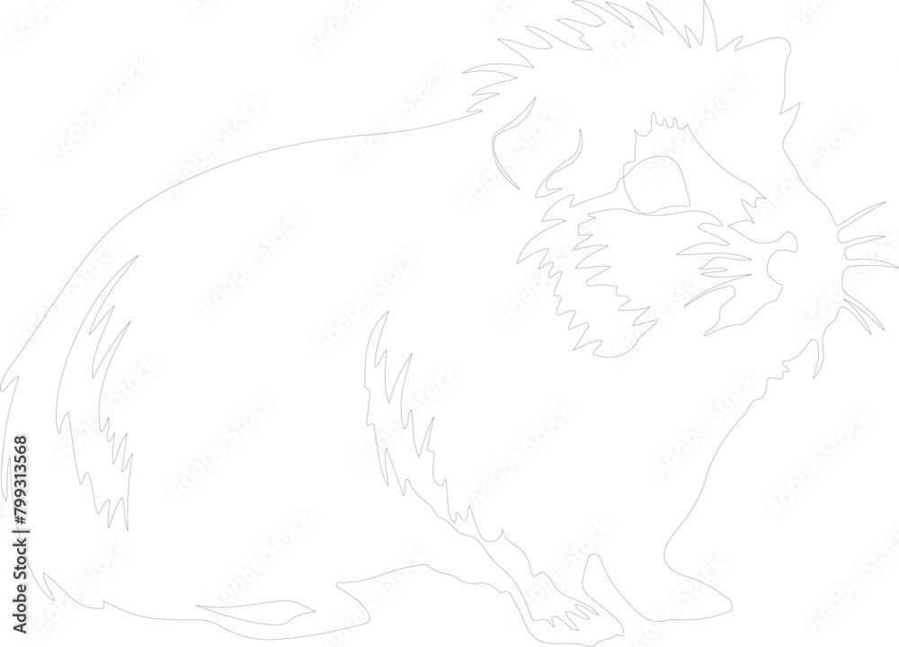 guinea pig outline guinea pig outline