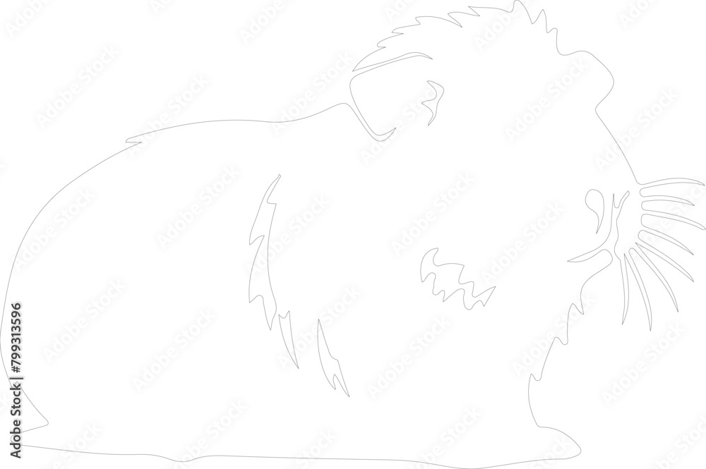guinea pig outline guinea pig outline