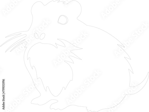 hamster outline