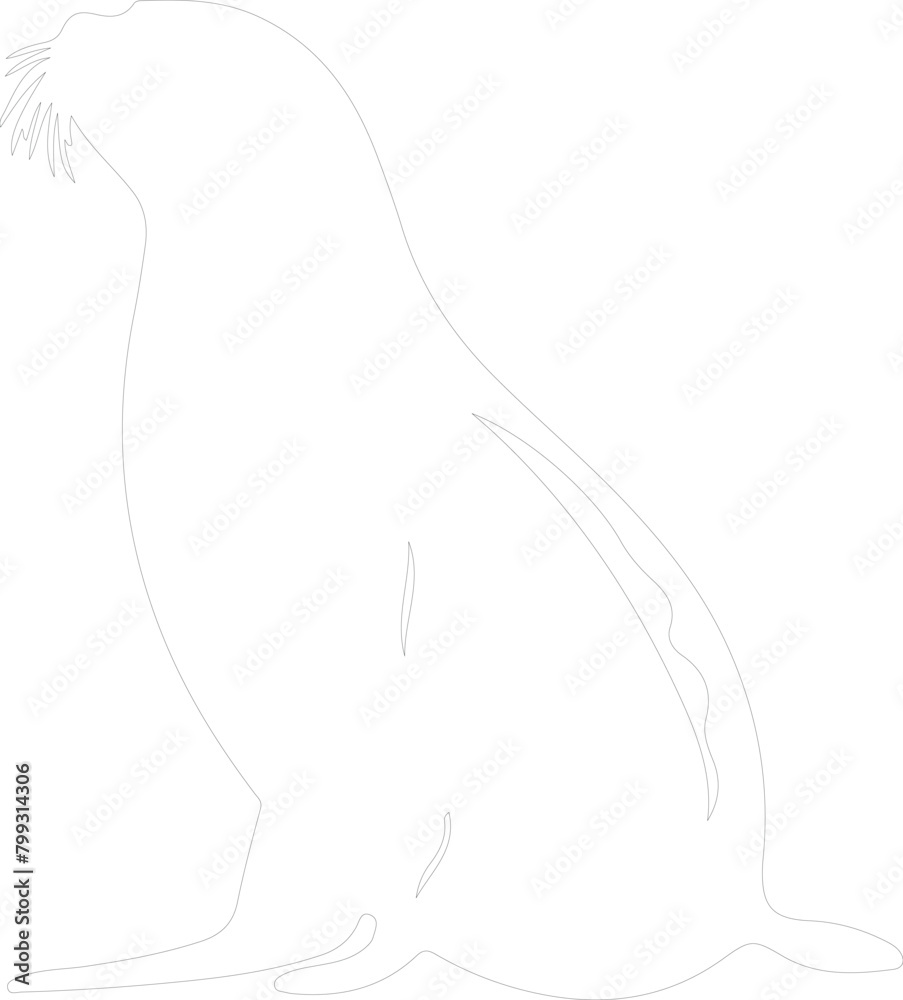 harp seal outline harp seal outline