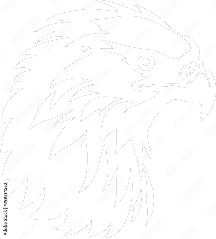 harpy eagle outline harpy eagle outline