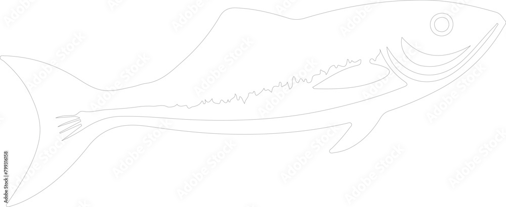 herring outline