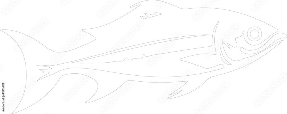 herring outline herring outline