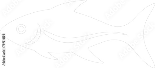 herring outline