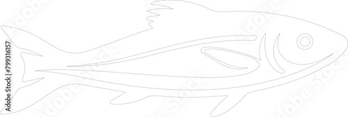 herring outline