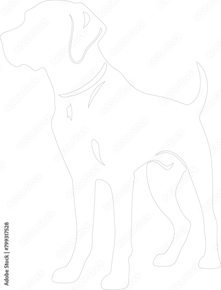 Obraz premium hound outline