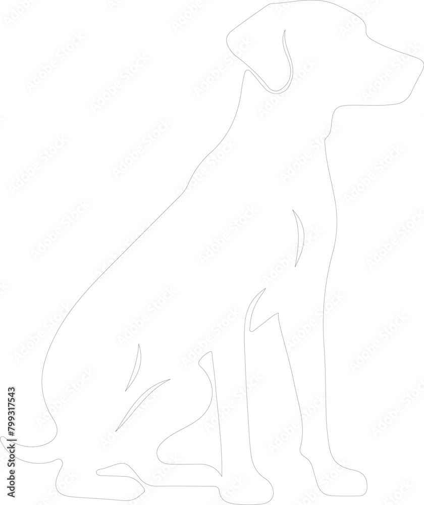 Obraz premium hound outline