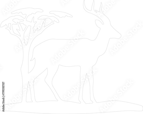 impala outline