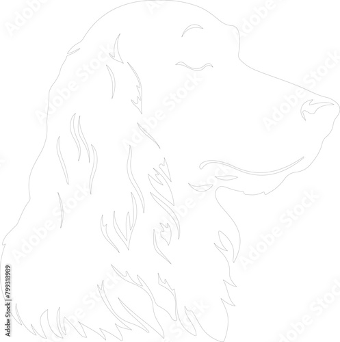 Irish setter outline