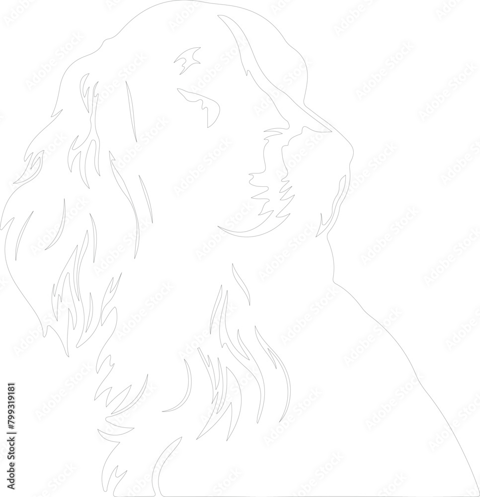 Irish setter outline Irish setter outline