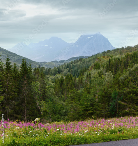 Mountain summer cloudy view with flowers in front (Norway) © wildman