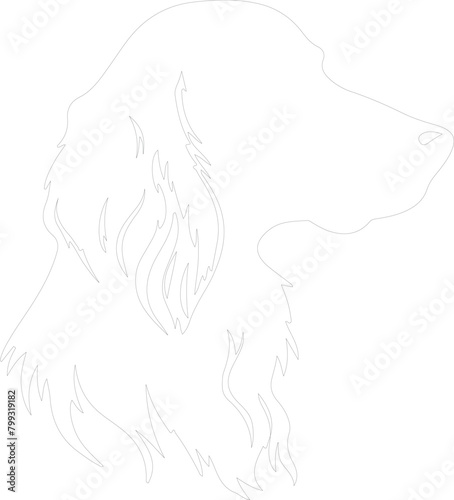 Irish setter outline