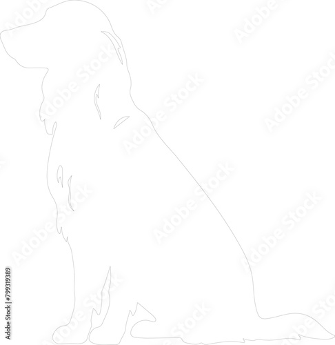 Irish setter outline