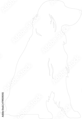 Irish setter outline