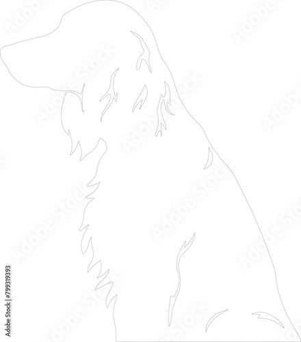 Irish setter outline