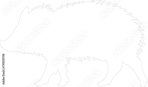 javelina outline