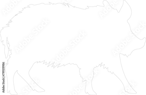 javelina outline