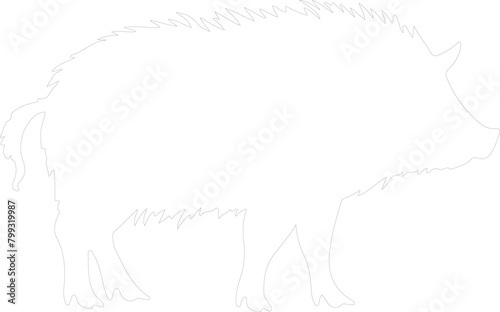 javelina outline