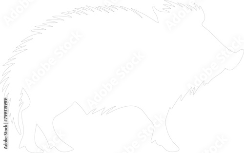 javelina outline