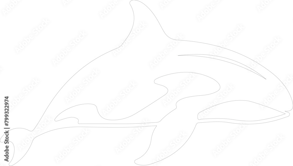 killer whale outline