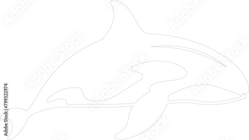 killer whale outline