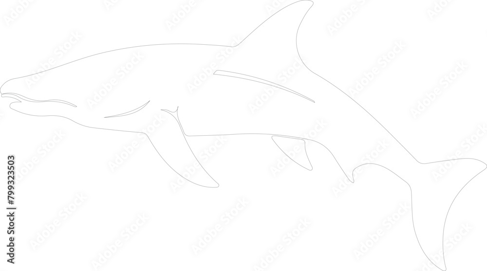 Obraz premium Kronosaurus outline