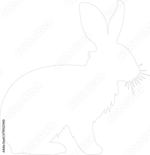 lagomorph outline