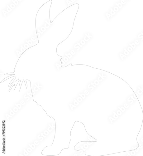 lagomorph outline