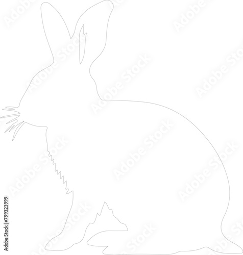 lagomorph outline