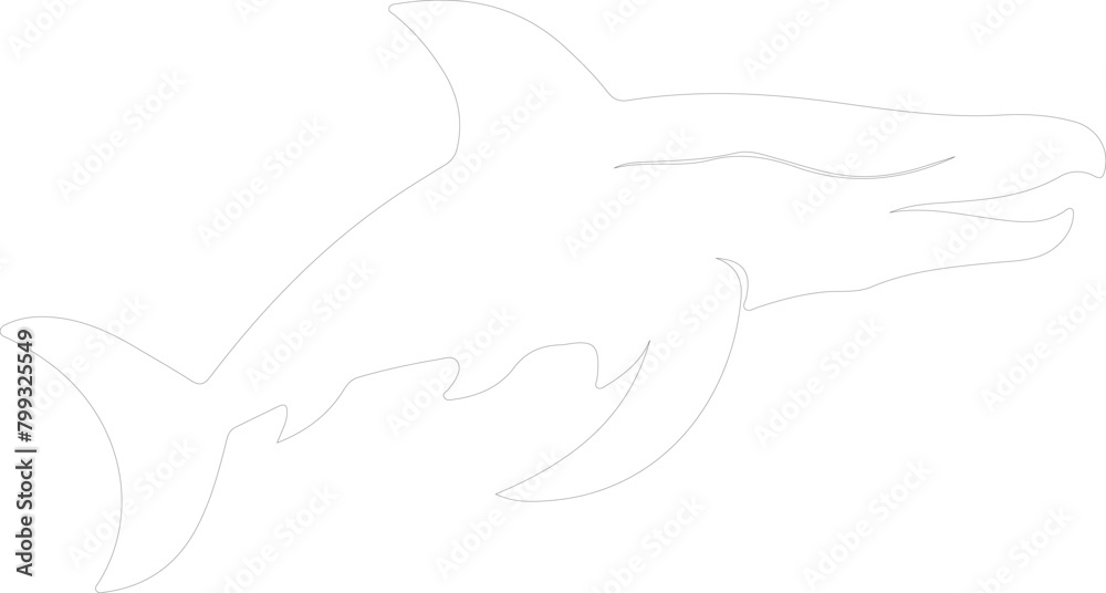 Liopleurodon outline Liopleurodon outline