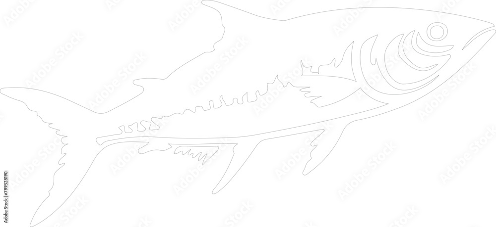 mackerel outline