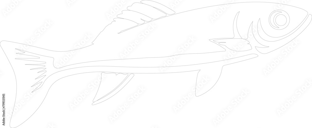 minnow outline