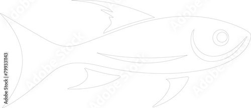 minnow outline