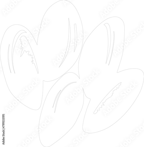 mussels outline