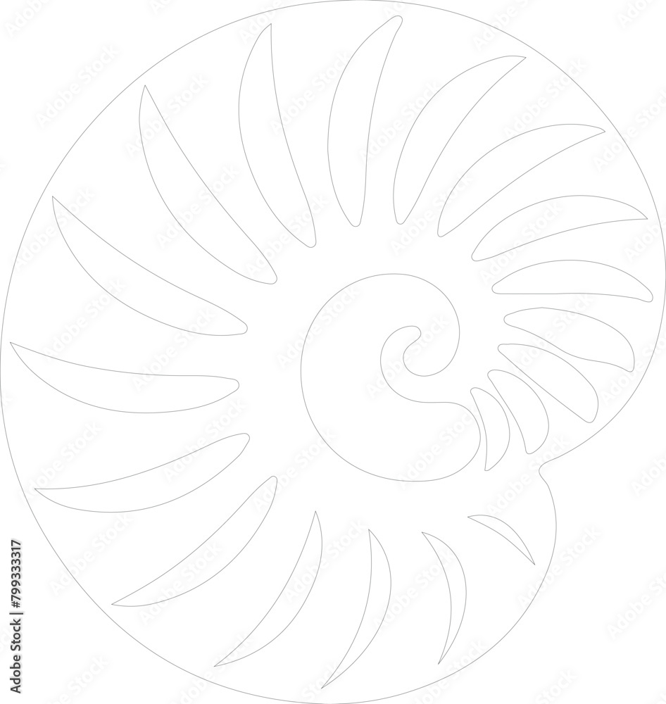 Obraz premium nautilus outline