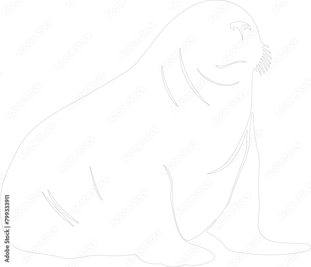 northern elephant seal outline northern elephant seal outline