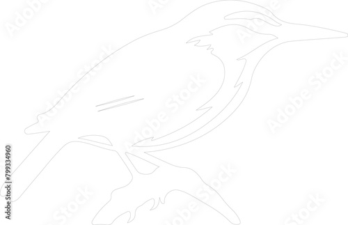 nuthatch outline