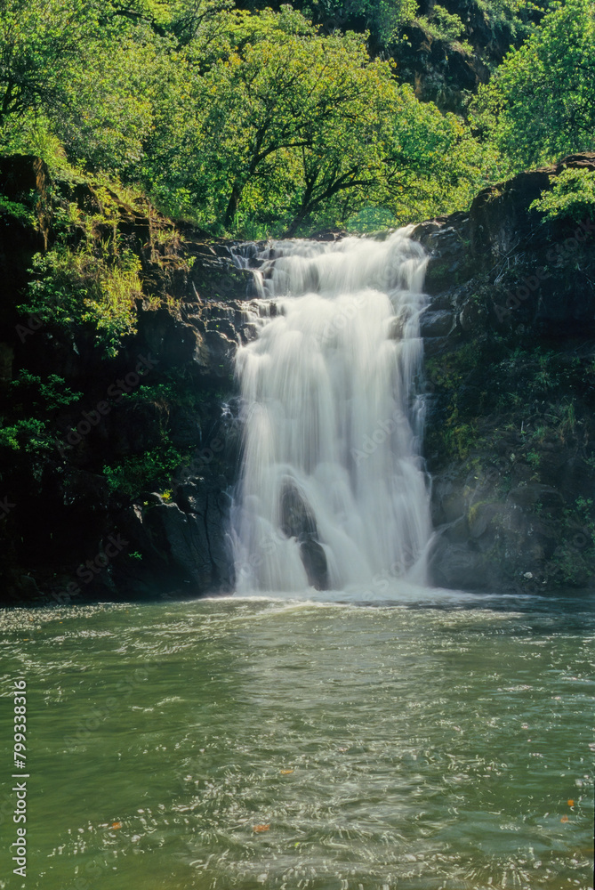 Fototapeta premium Waimea Valley