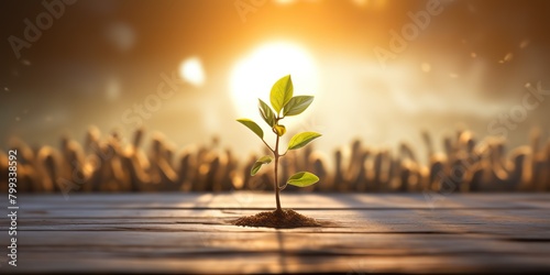 Close up of a seedling growing out of a wooden dance floor with dancers far off in the background and a beautiful sunrise shining scene photo