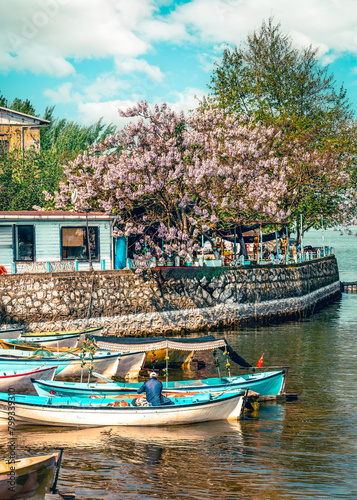 Daily life in Golyazi fishing village with boats and people, Bursa, Turkey